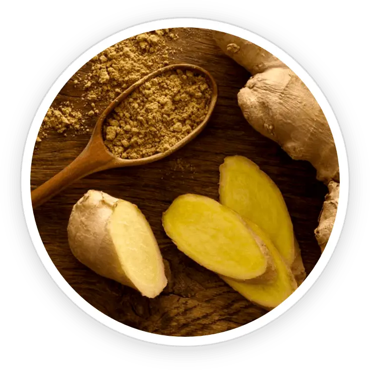PrimeBiome ingredient Organic Ceylon Ginger antioxidant digestive support